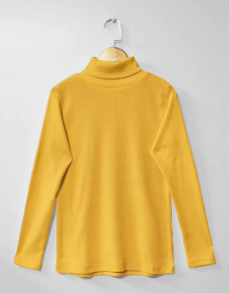 CH # 379 Chakoor Winter Bliss Basic Plain Fleece Ribbed Cotton Warmth High Neck For Women