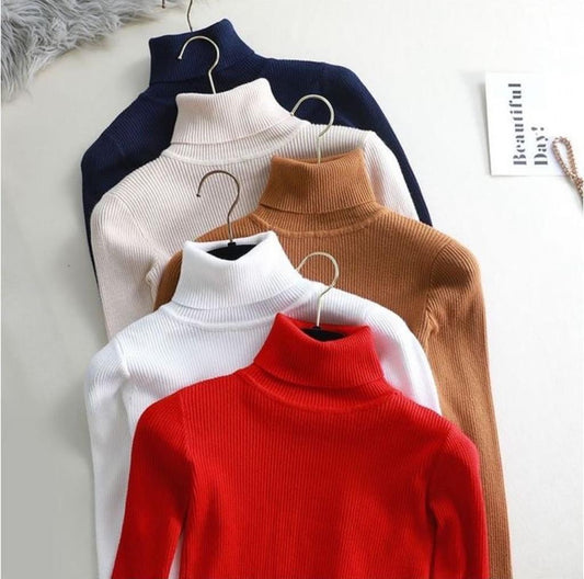 CH # 379 Chakoor Winter Bliss Basic Plain Fleece Ribbed Cotton Warmth High Neck For Women