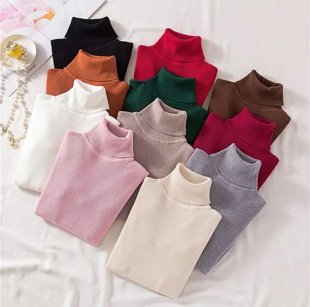 CH # 379 Chakoor Winter Bliss Basic Plain Fleece Ribbed Cotton Warmth High Neck For Women