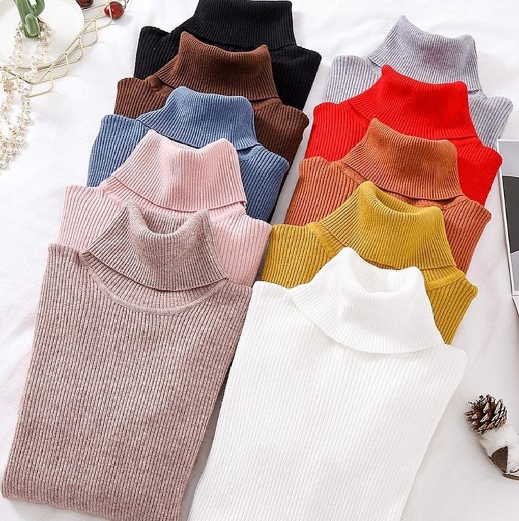 CH # 379 Chakoor Winter Bliss Basic Plain Fleece Ribbed Cotton Warmth High Neck For Women